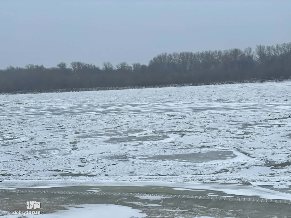 Wisła w Toruniu zamarznięta!