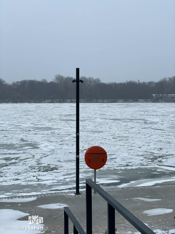 Wisła w Toruniu zamarznięta!