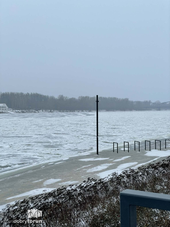Wisła w Toruniu zamarznięta!