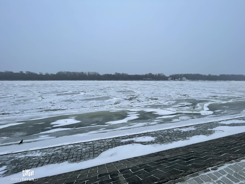 Wisła w Toruniu zamarznięta!