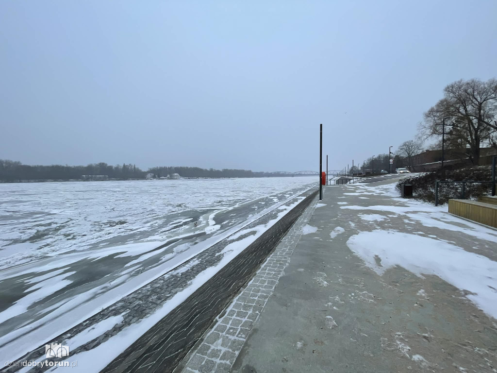 Wisła w Toruniu zamarznięta!