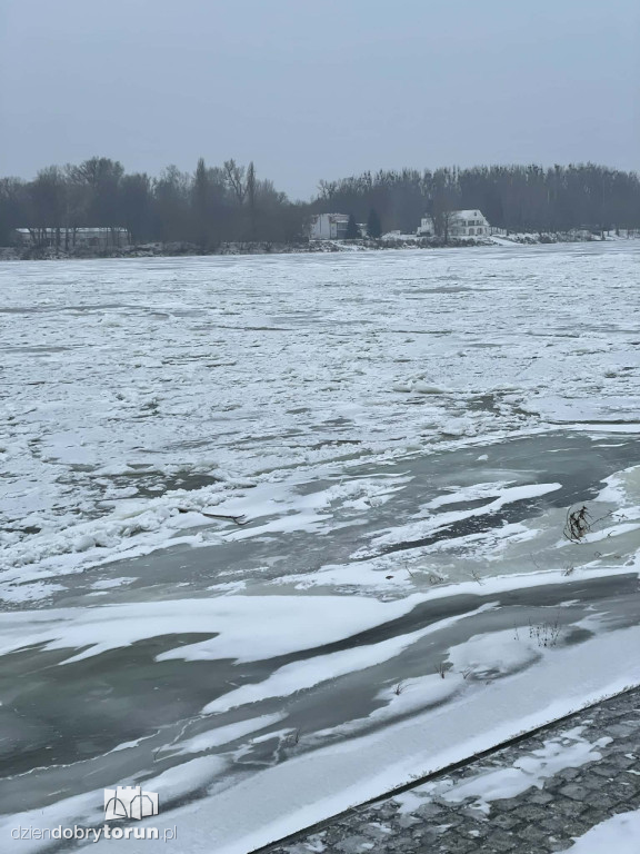 Wisła w Toruniu zamarznięta!