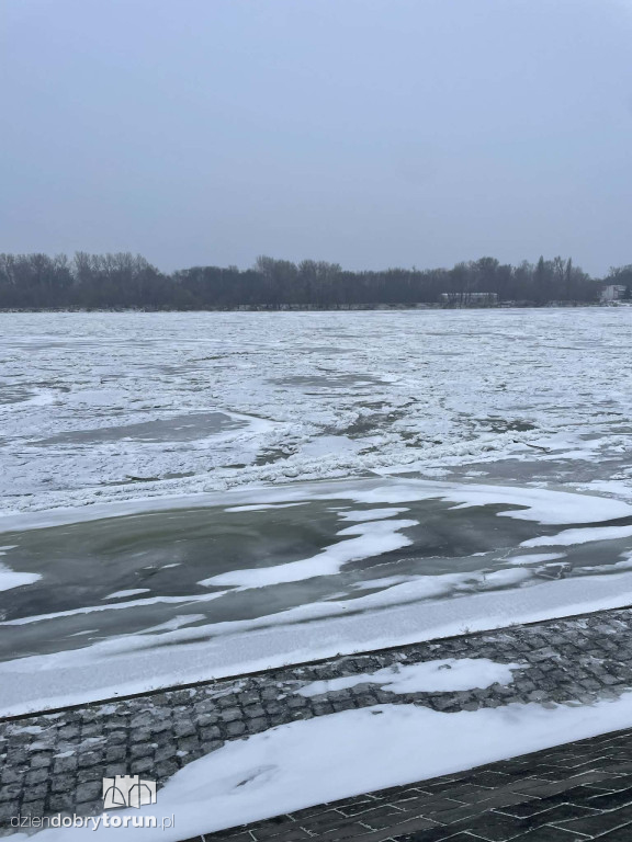 Wisła w Toruniu zamarznięta!