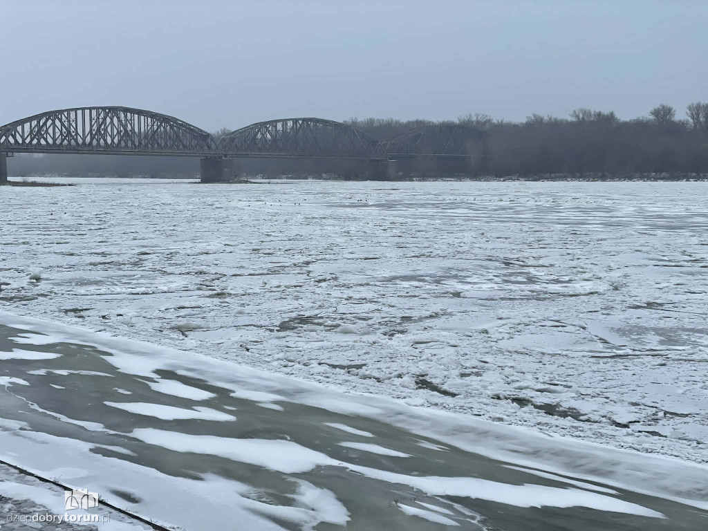 Wisła w Toruniu zamarznięta!
