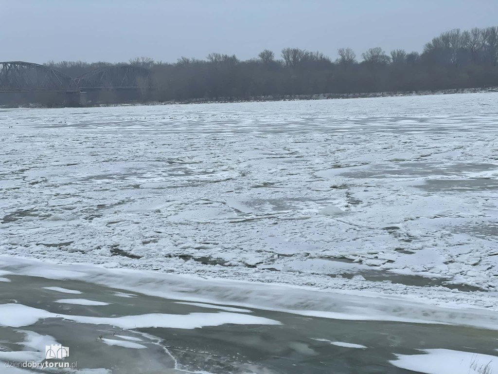 Wisła w Toruniu zamarznięta!
