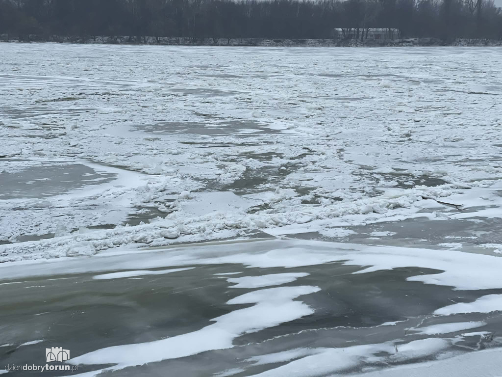 Wisła w Toruniu zamarznięta!