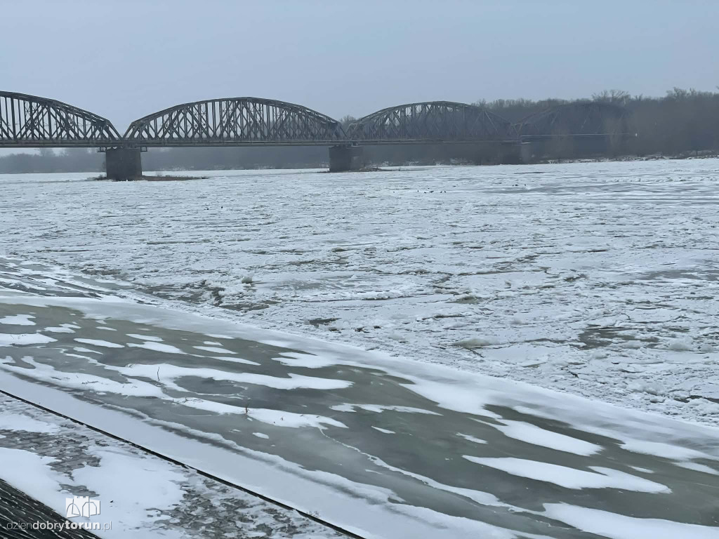 Wisła w Toruniu zamarznięta!
