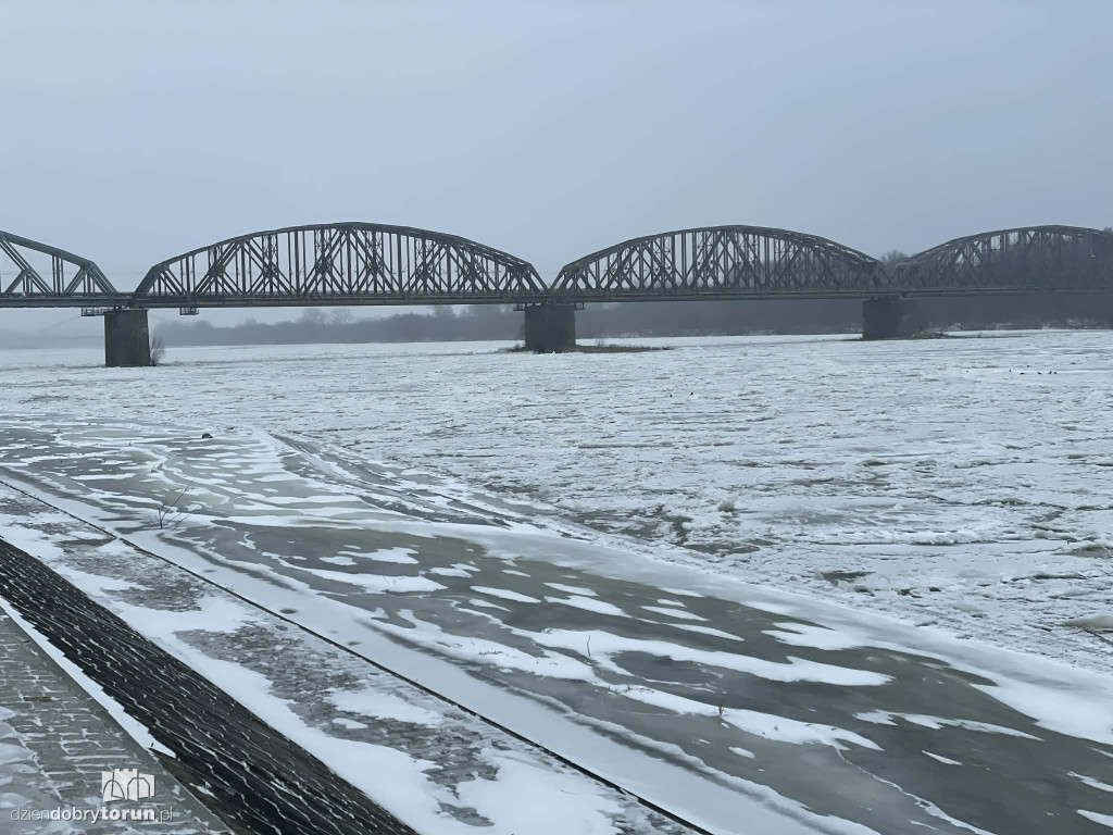 Wisła w Toruniu zamarznięta!