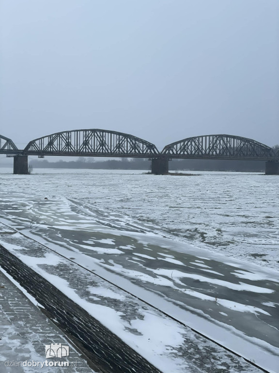 Wisła w Toruniu zamarznięta!