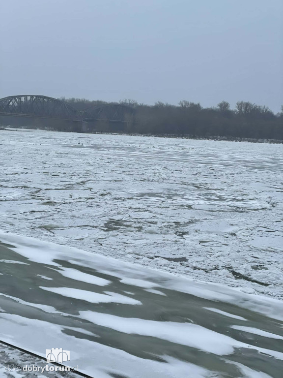 Wisła w Toruniu zamarznięta!