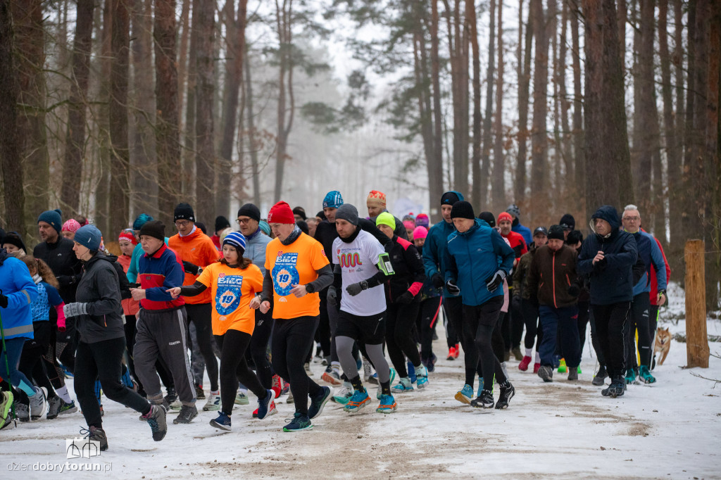 Parkrun Toruń