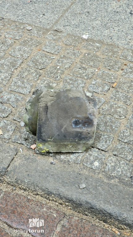 Groźna sytuacja w centrum Torunia