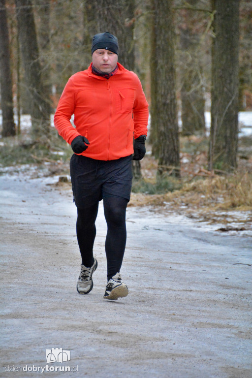 Walentynkowy Parkrun w Toruniu