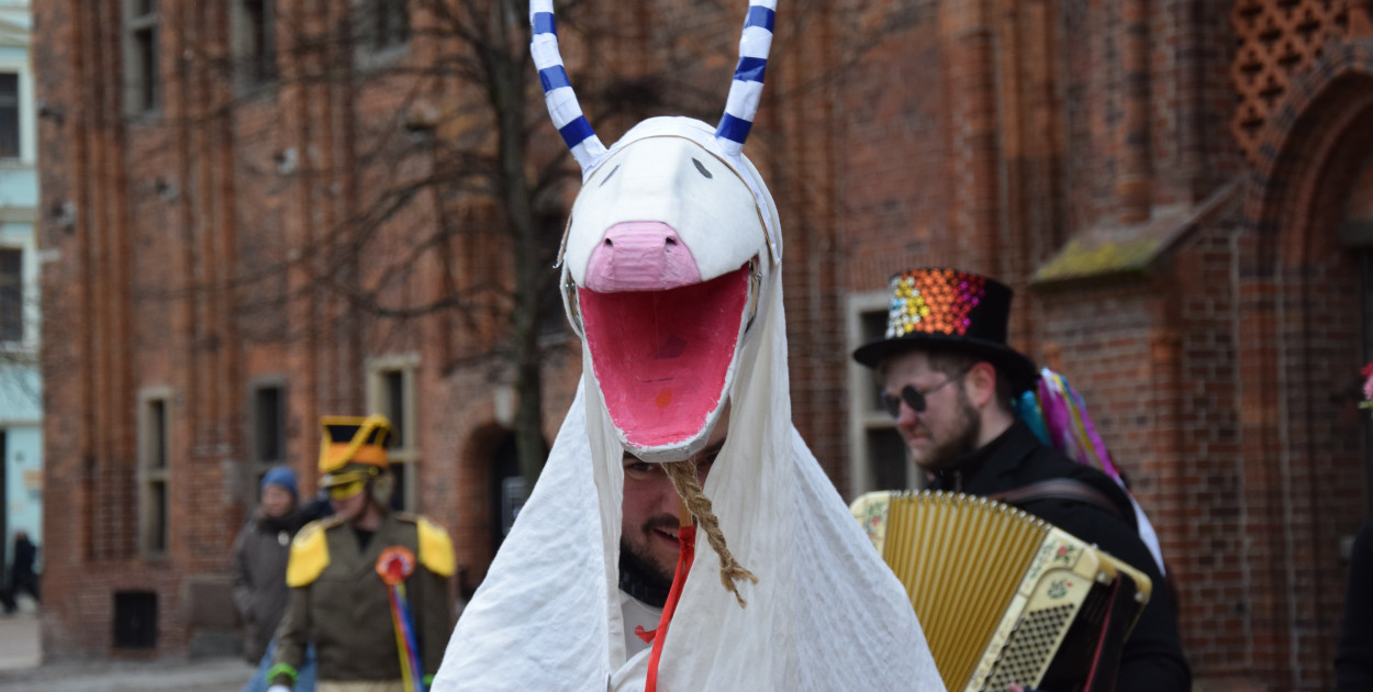Koza Kujawska na Starym Mieście