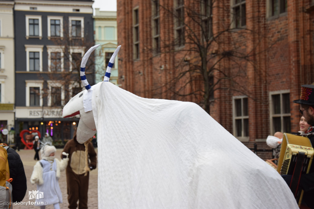 Koza Kujawska na Starym Mieście