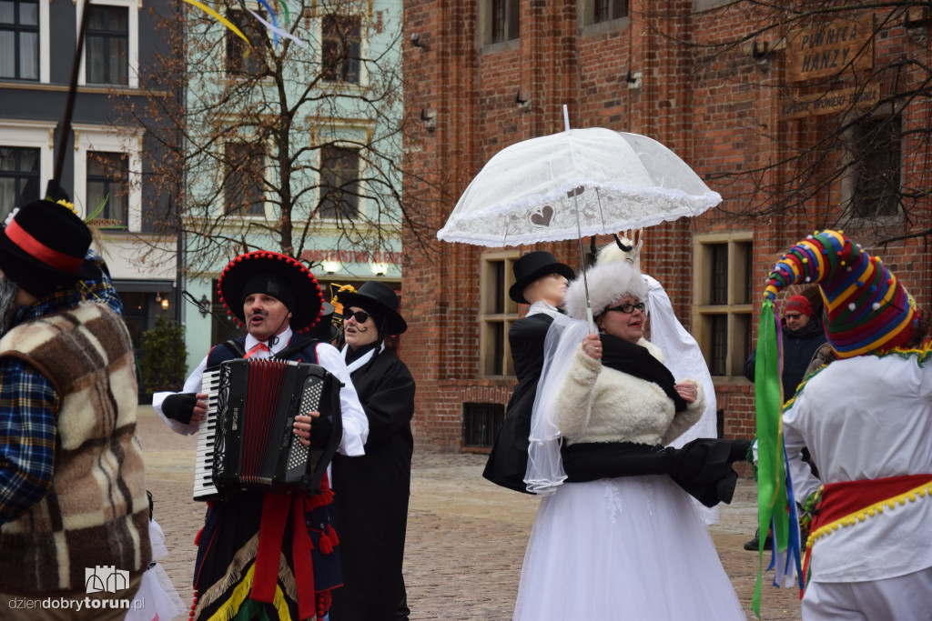 Koza Kujawska na Starym Mieście