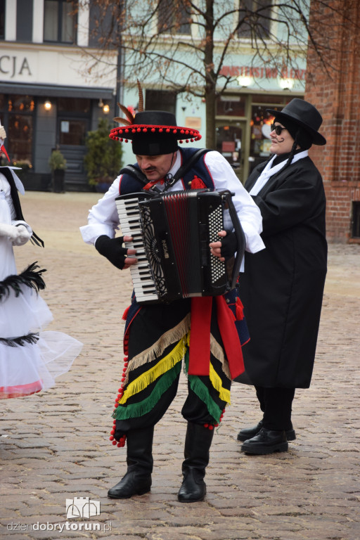 Koza Kujawska na Starym Mieście