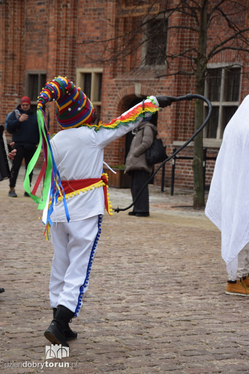 Koza Kujawska na Starym Mieście