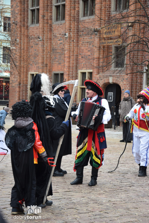 Koza Kujawska na Starym Mieście