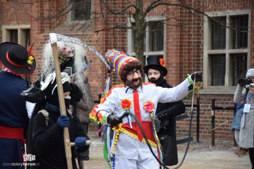 Koza Kujawska na Starym Mieście