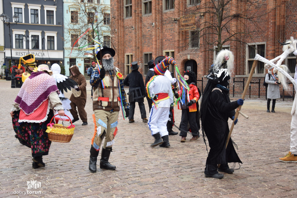 Koza Kujawska na Starym Mieście