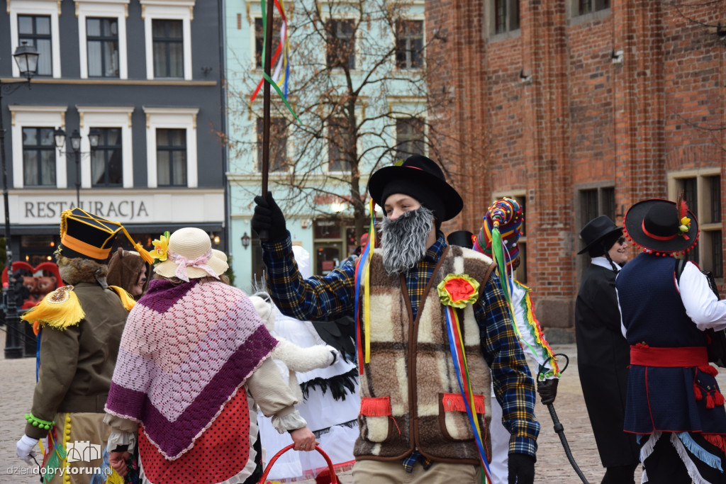 Koza Kujawska na Starym Mieście