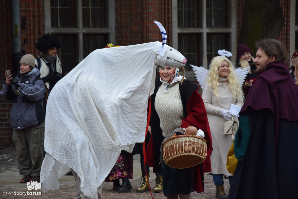 Koza Kujawska na Starym Mieście