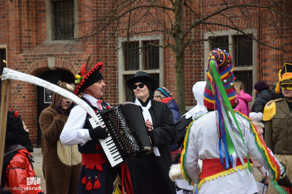 Koza Kujawska na Starym Mieście