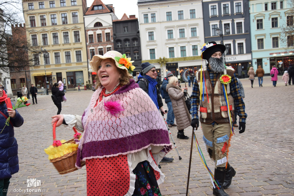 Koza Kujawska na Starym Mieście