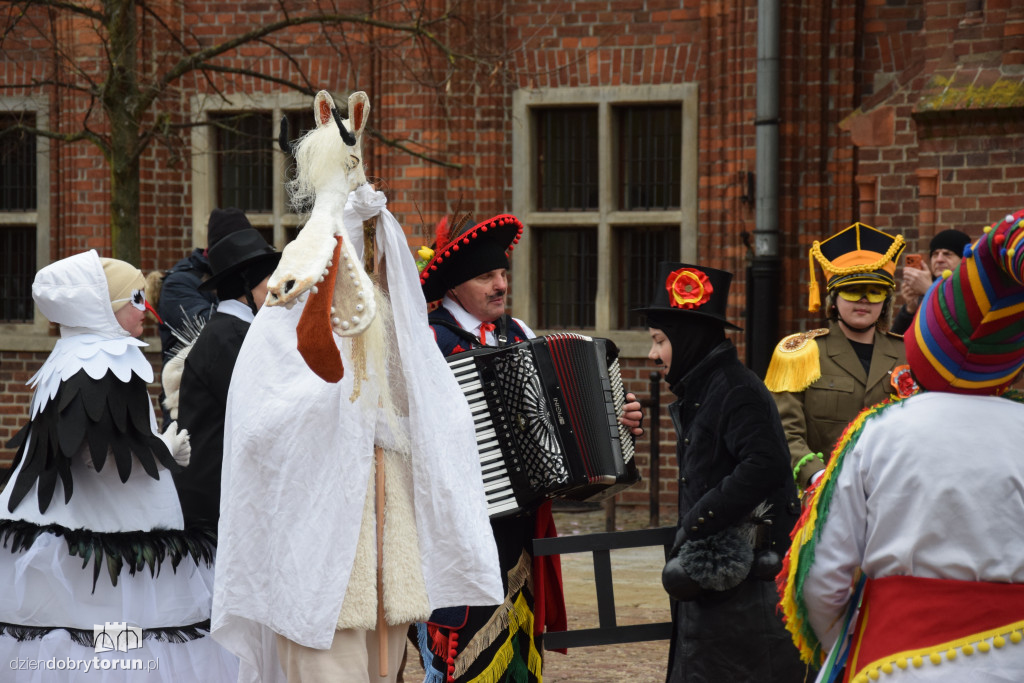 Koza Kujawska na Starym Mieście