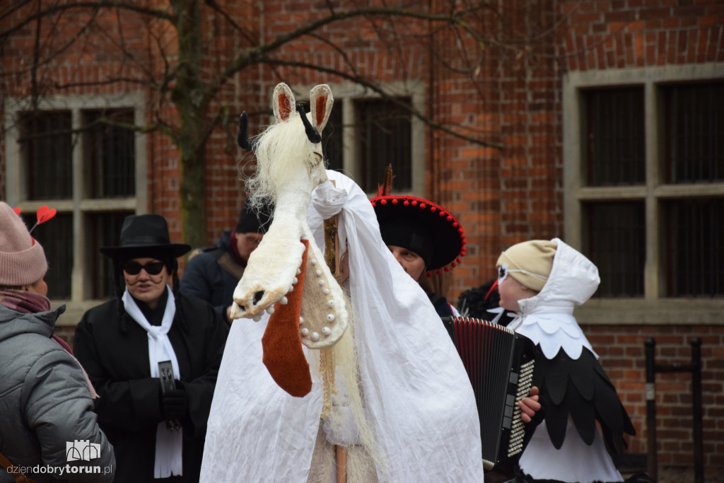 Koza Kujawska na Starym Mieście