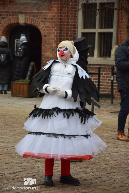 Koza Kujawska na Starym Mieście