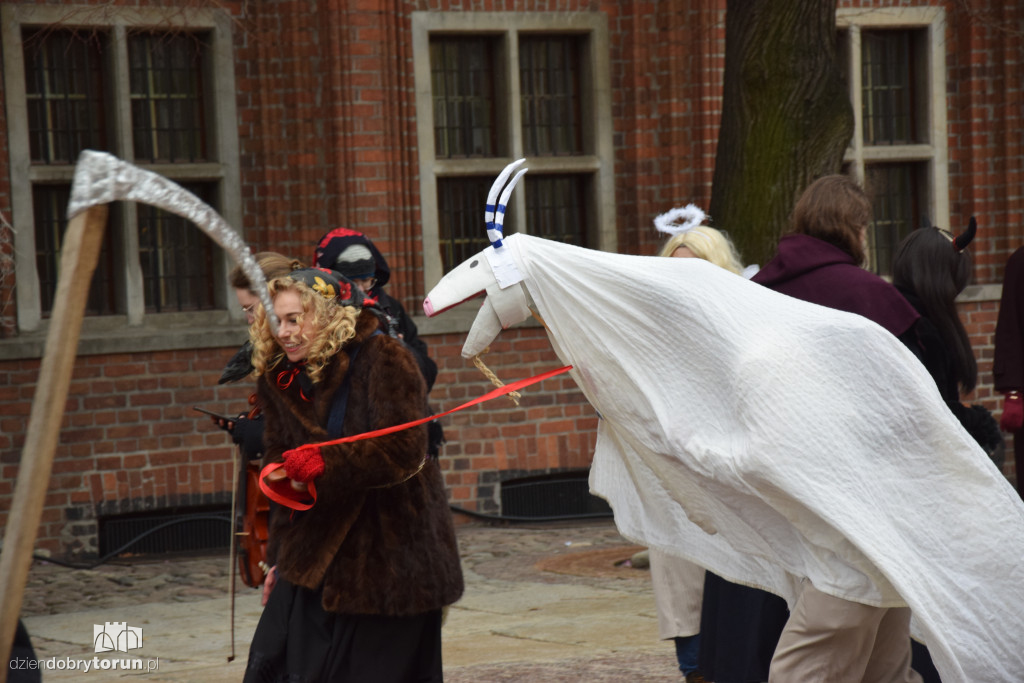 Koza Kujawska na Starym Mieście