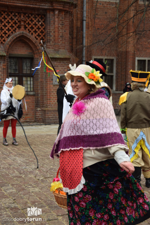 Koza Kujawska na Starym Mieście