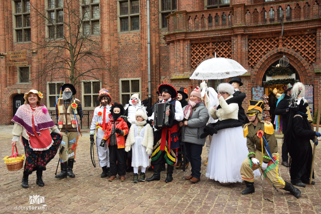 Koza Kujawska na Starym Mieście