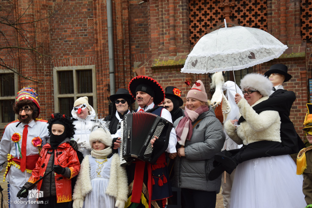 Koza Kujawska na Starym Mieście