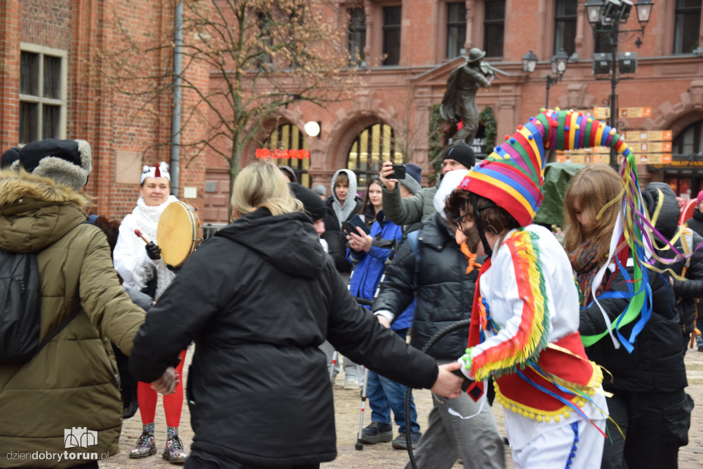Koza Kujawska na Starym Mieście