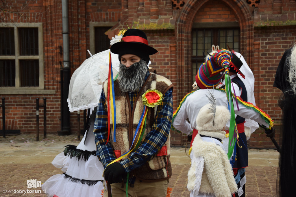 Koza Kujawska na Starym Mieście