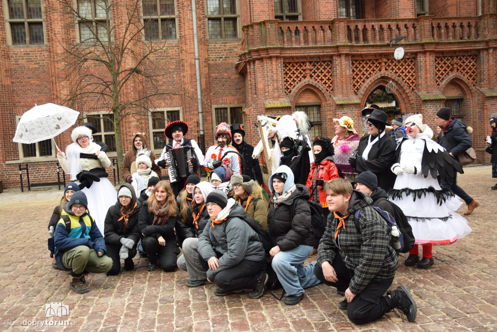 Koza Kujawska na Starym Mieście