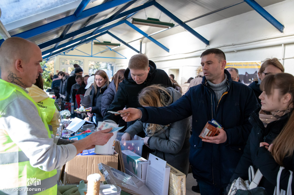 Dzień kota w schronisku