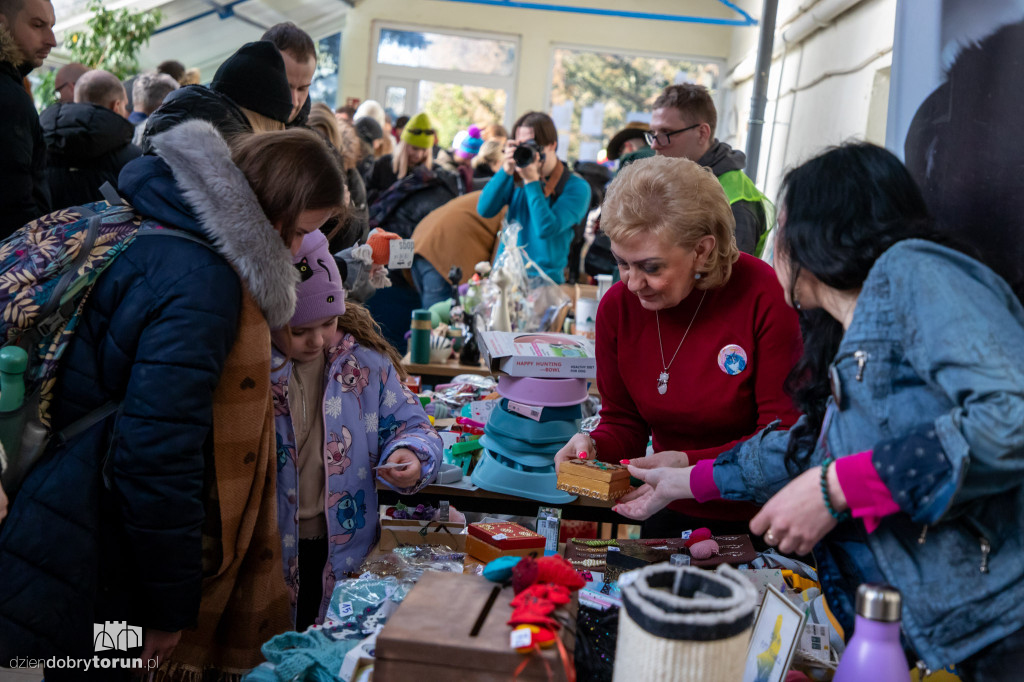 Dzień kota w schronisku