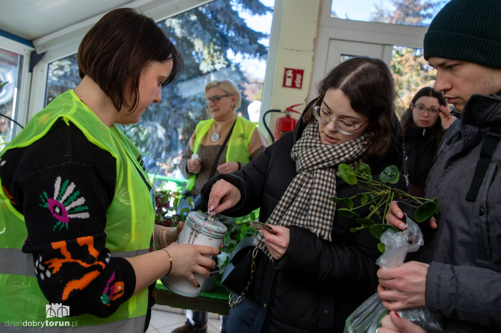 Dzień kota w schronisku