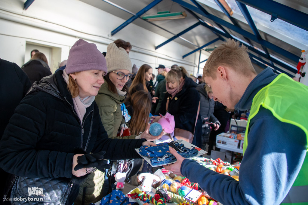 Dzień kota w schronisku