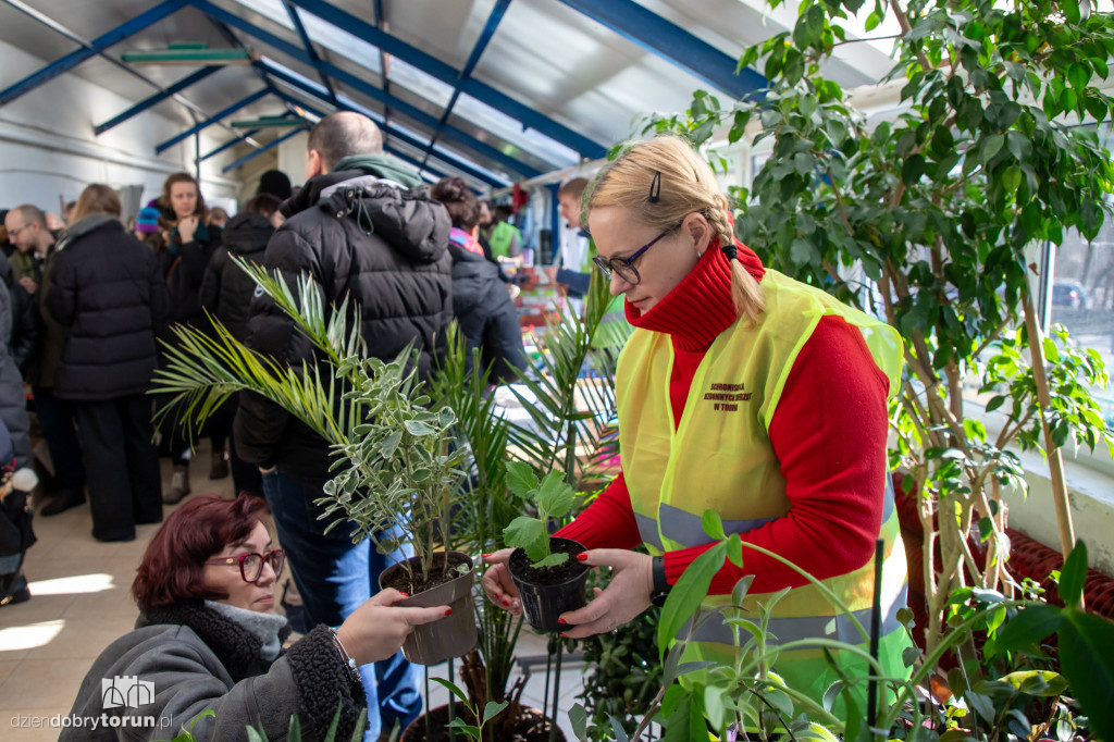 Dzień kota w schronisku