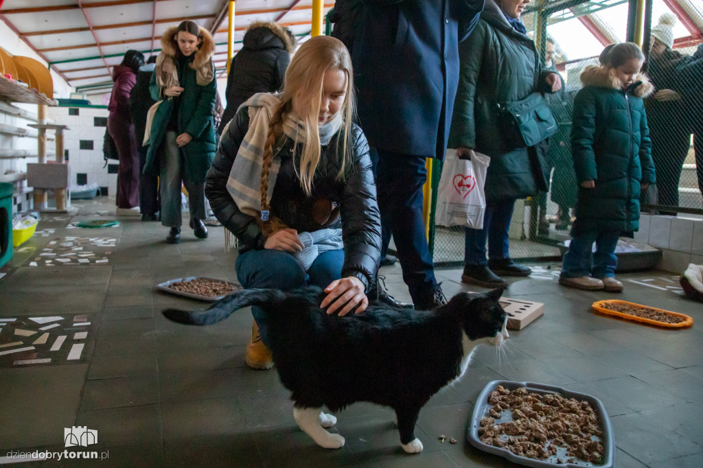 Dzień kota w schronisku