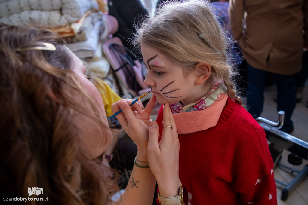 Dzień kota w schronisku