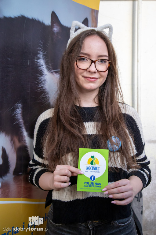 Dzień kota w schronisku