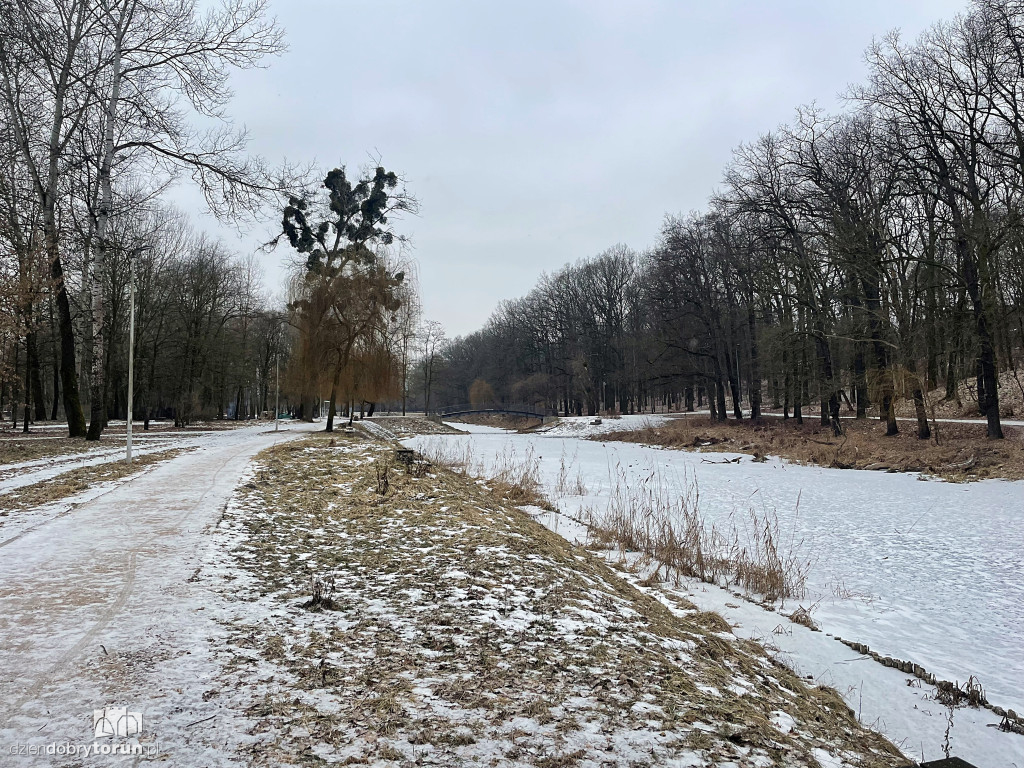 Przyducha na Martówce w Toruniu