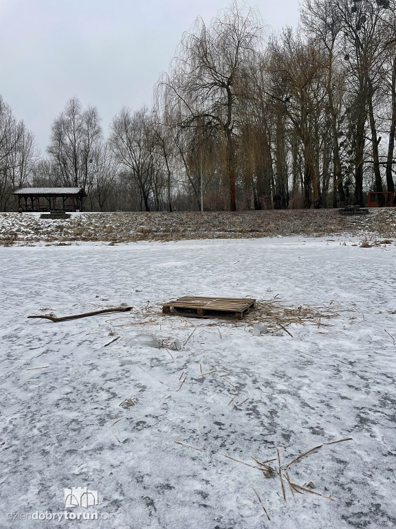 Przyducha na Martówce w Toruniu