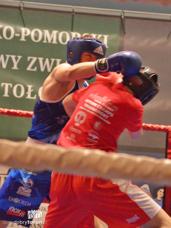 Turniej bokserski Future Champs II